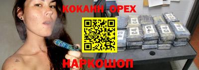 гидропоника Камышлов